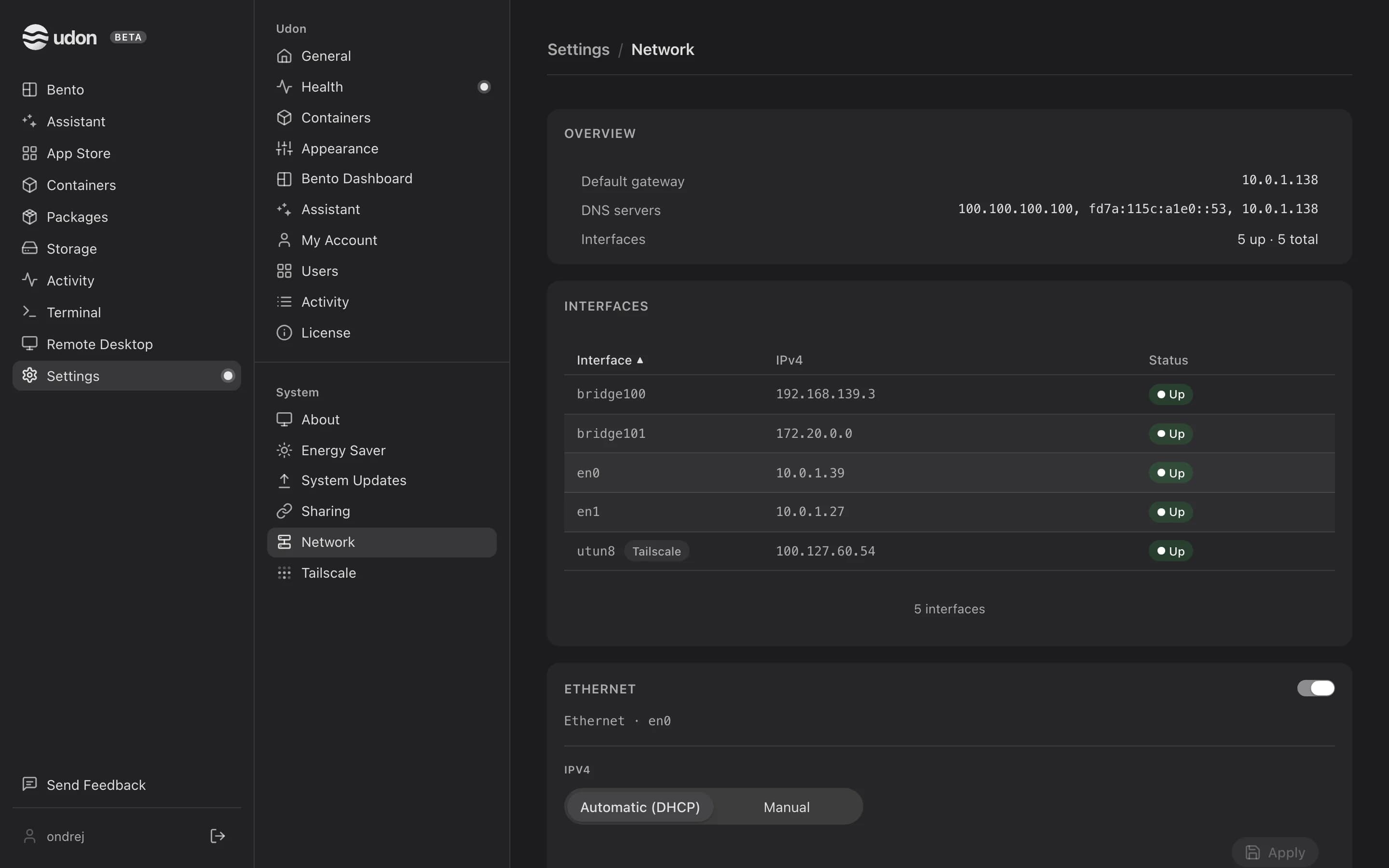 The Network settings, showing interfaces and IPv4